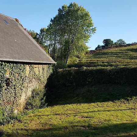 La Puisatiere Lägenhet Saint-Pierre-d'Artheglise Exteriör bild